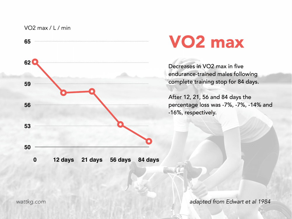 vo2 max detraining