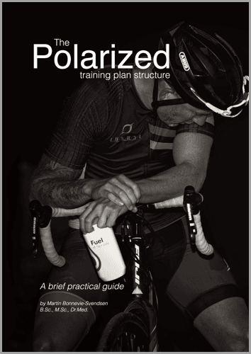 polarized training plan pdf